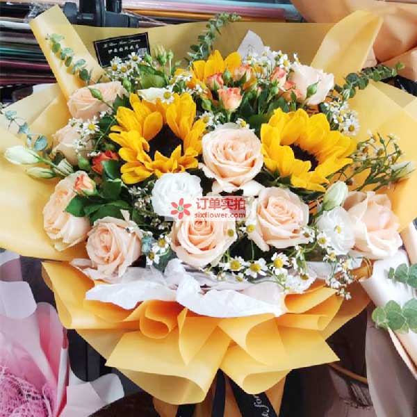 送邯郸市武安市中兴路武安新世纪广场的鲜花实拍图