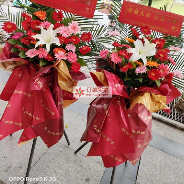 送浮梁县绿景翡翠城133号附近的鲜花实拍图