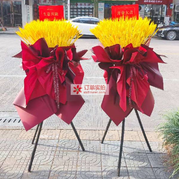 送丽水莲都区海潮花园23幢1号的鲜花实拍图