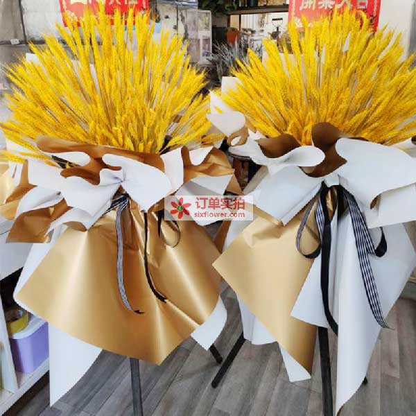 送蒲城县红旗路西段星涵酒店的鲜花实拍图