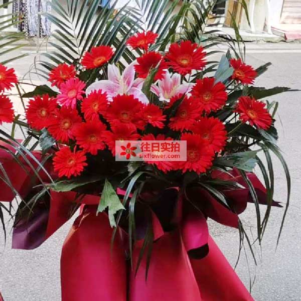 送毕节文峰派出所斜对面一个港港进来的鲜花实拍图