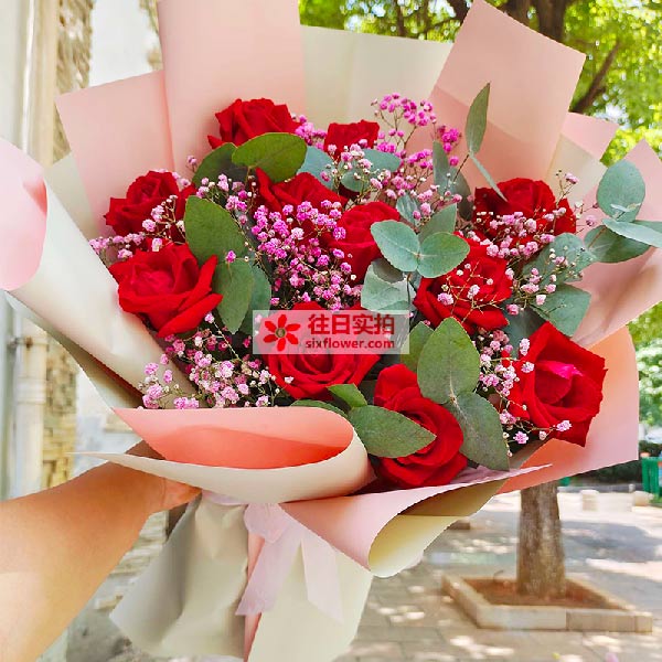 送贵州省安顺市平坝区平安广场进口处(广富酒店用品)的鲜花实拍图