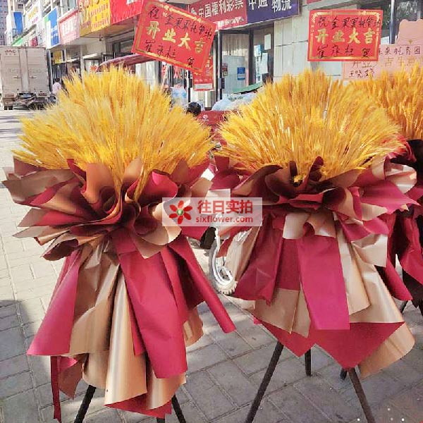送商洛商州区泰宇时代天地东门的鲜花实拍图