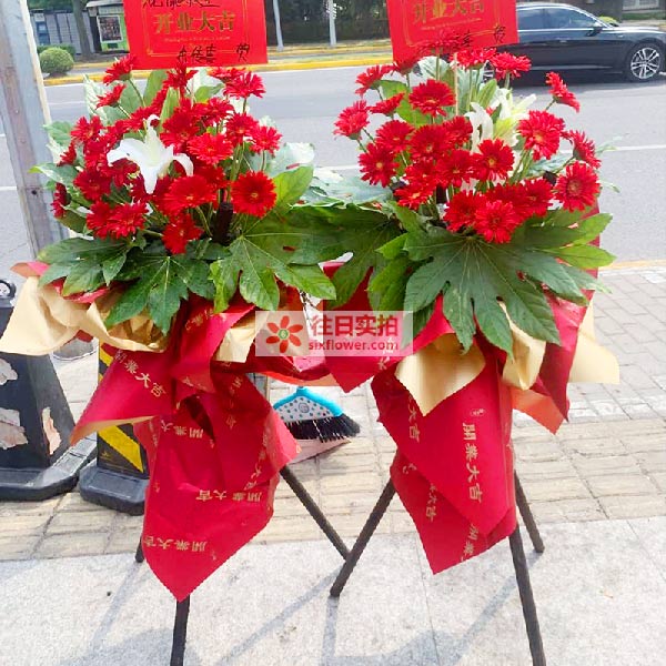 金山区龙皓路2080号龙…