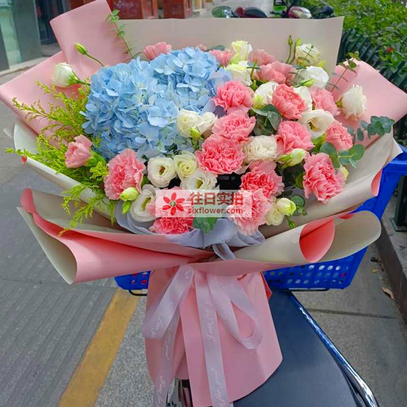 22朵粉色康乃馨绣球花，祝福捎给远方的您
