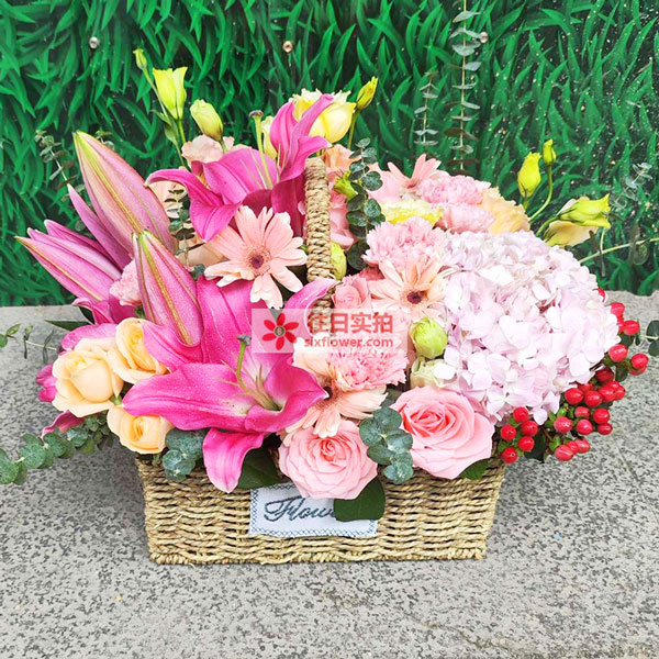 送三河市燕郊圣屯大队门前幸福街的鲜花实拍图