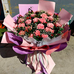 瓦房店市复州城镇送花(22朵粉色康乃馨，真挚的祝福捎给您)