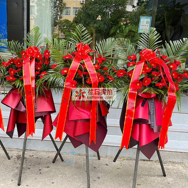 �ͺ��ݜuꖿh���d�(zh��n)�|�A����r����(sh��)�ĈD