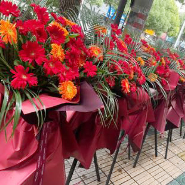 送镇江京口区苗家湾路259号京口花园对面的鲜花实拍图