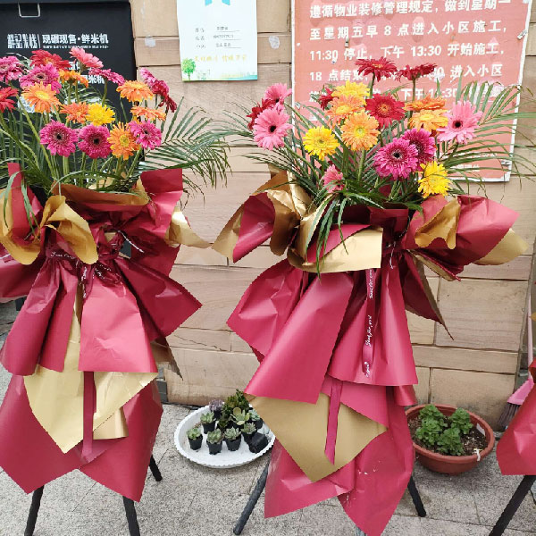 送镇江丹徒区阳光西班牙对面的鲜花实拍图