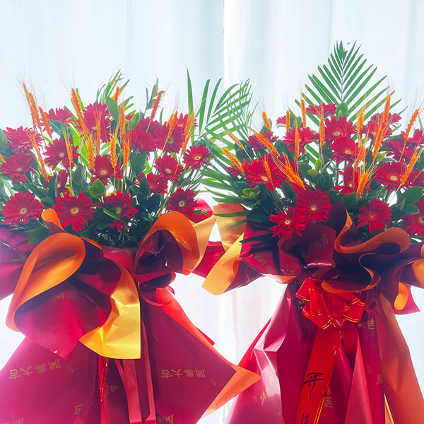 送邢台市巨鹿县世纪康城西万象城小区1号楼的鲜花实拍图