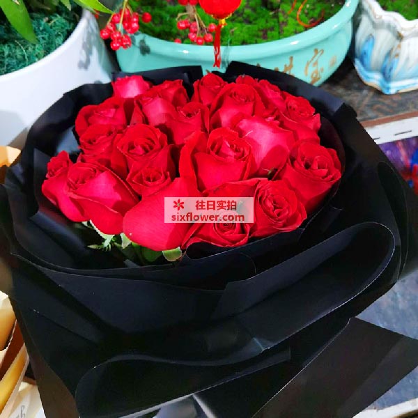 送金华婺城区秋滨街道秋涛北街的鲜花实拍图