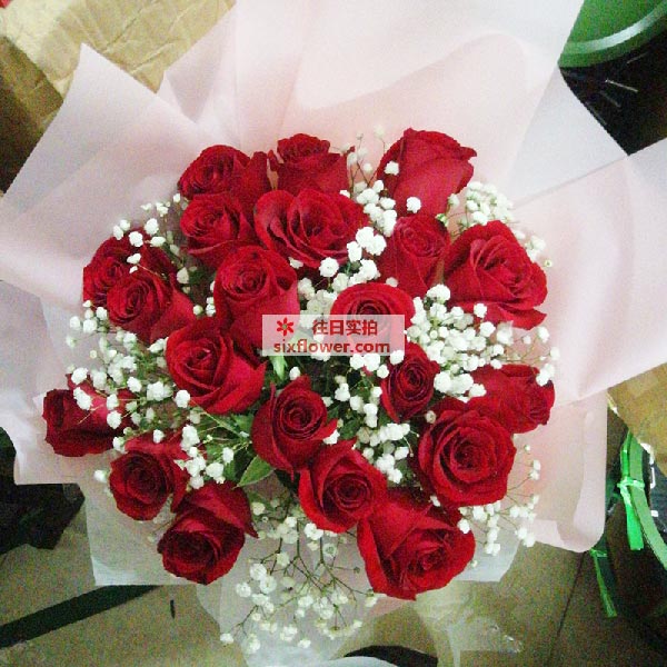 送佛山顺德区大良五沙顺源路阿波罗环保器材的鲜花实拍图