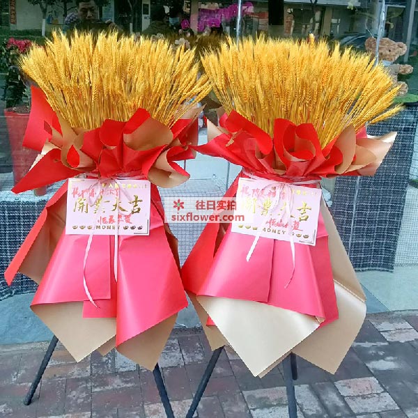 送合肥市恒丰大厦28楼的鲜花实拍图