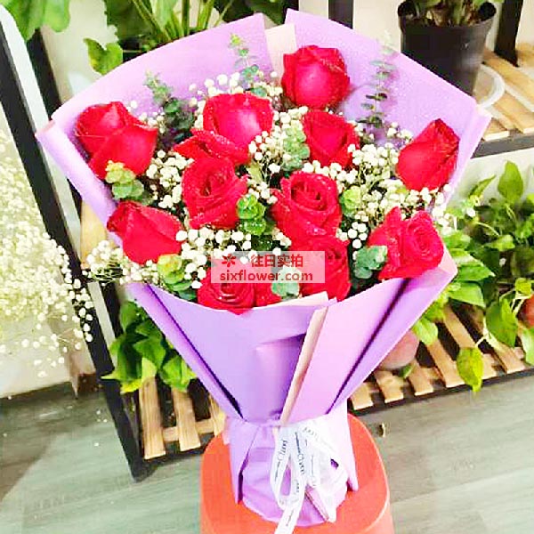 送利辛蒋疃路202号的鲜花实拍图