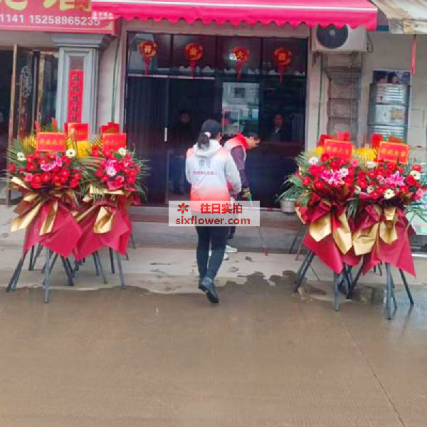 送金华东阳五马塘新庄的鲜花实拍图