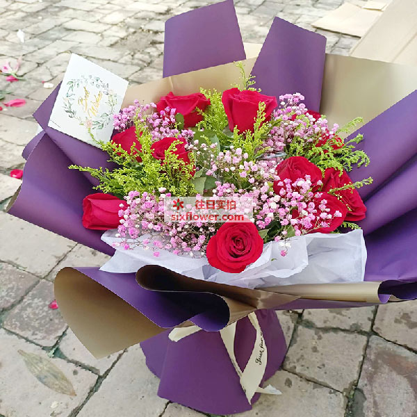 �������гǱ���������·37�ŵ��ʻ�ʵ��ͼ