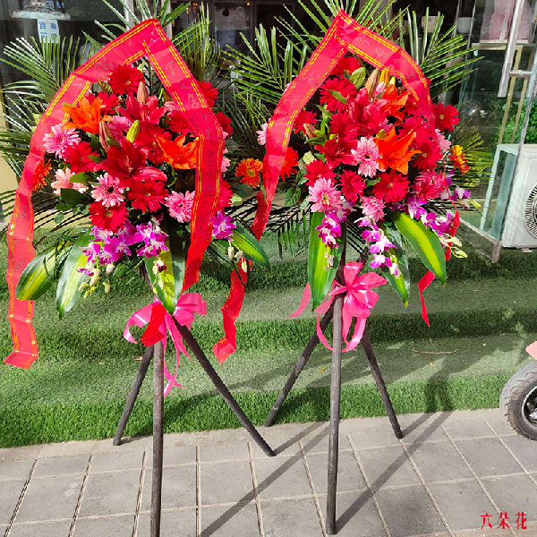 送银川市金凤区六盘山路北侧连湖花园二区的鲜花实拍图