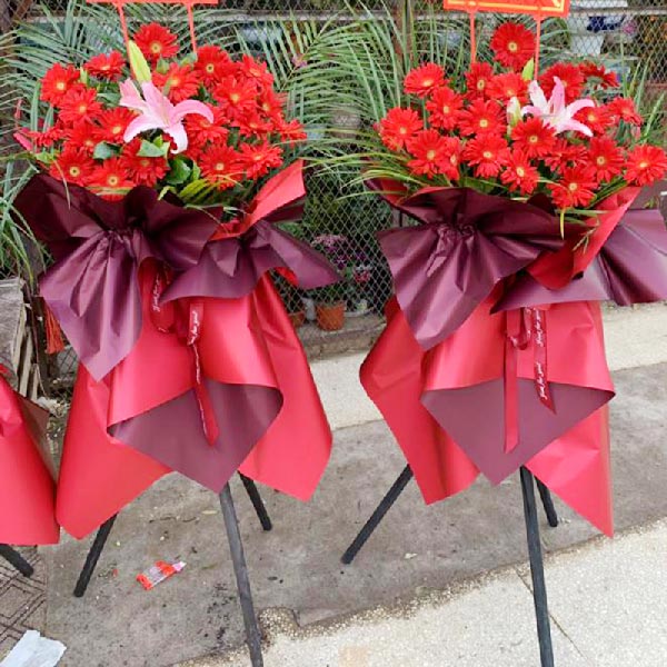 送河南省新乡市延津县中央花园十字路口的鲜花实拍图