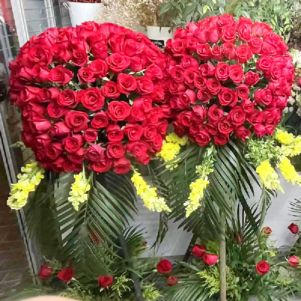 送丽水市莲都区碧湖镇高溪乡黄塘窑村的鲜花实拍图