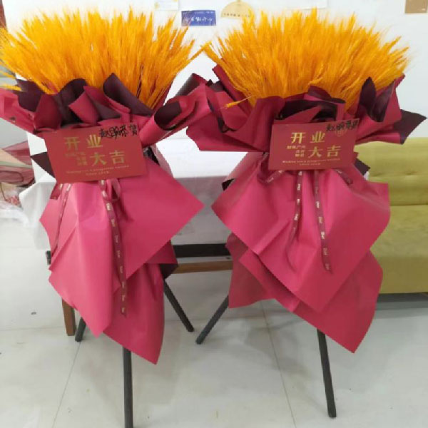 送任丘市蕾莎汇四楼全民石锅鸡的鲜花实拍图