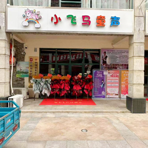 送安庆市宜秀区西湖绿洲城商业街的鲜花实拍图