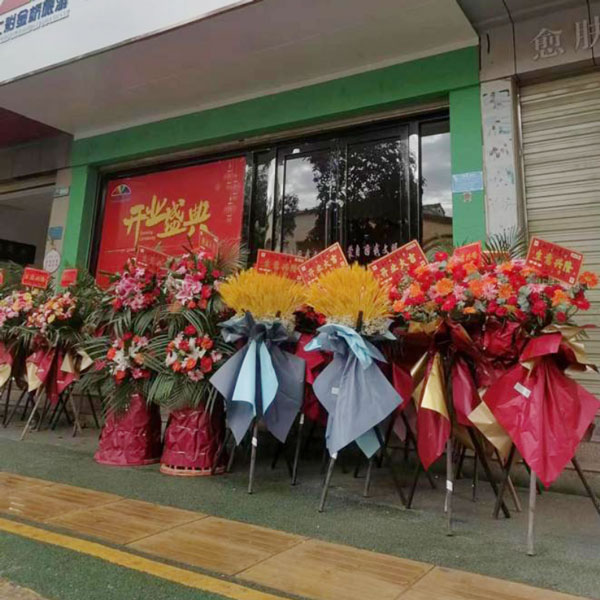 送蒙自兴盛路兴竹里小区正对面七彩金桥旅行社的鲜花实拍图