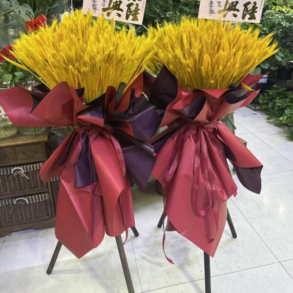 ��̩���н��߅^(q��)ӭ�e�|·c��168̖���r�����ĈD