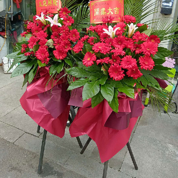 送南京溧水区海乐城5楼红叶半山的鲜花实拍图