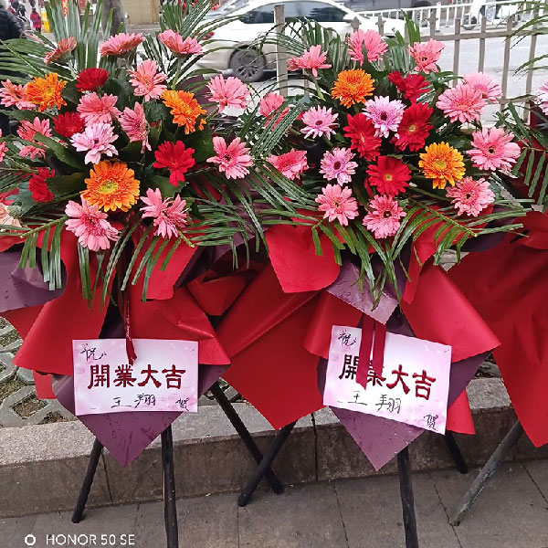 送六盘水钟山区爱琴海B区3楼中碁国际围棋六盘水爱琴海校区的鲜花实拍图