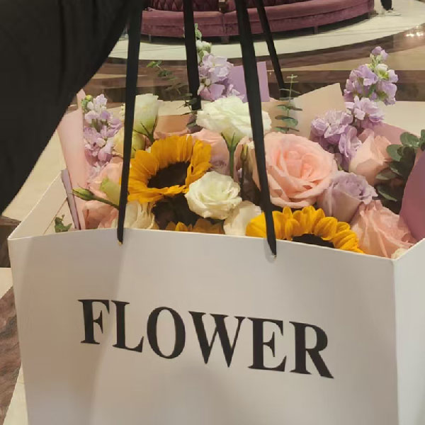 �Ͱ��T·���B؞��·���T���Ӱ����ʻ�ʵ��ͼ