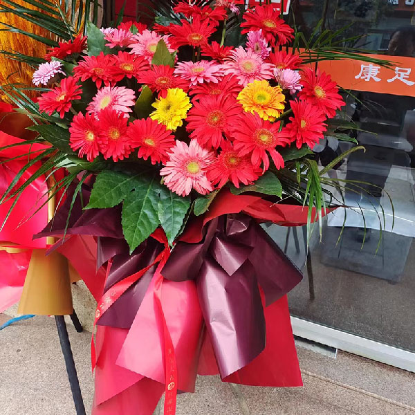 送新昌大市聚新街38号的鲜花实拍图