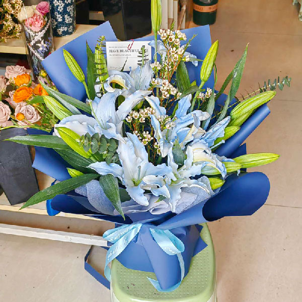 �ͺϷʏ]�(y��ng)�^(q��)ӭ��·ˮľ����6�����r����(sh��)�ĈD