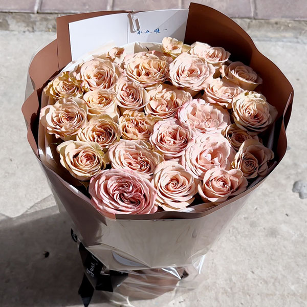 送赤峰松山区鸟巢南侧红山郡东门的鲜花实拍图