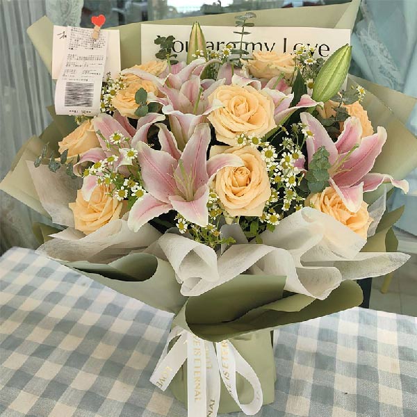 �͹��ܺ�����ѧ��ʦ���ʷ����ʻ�ʵ��ͼ