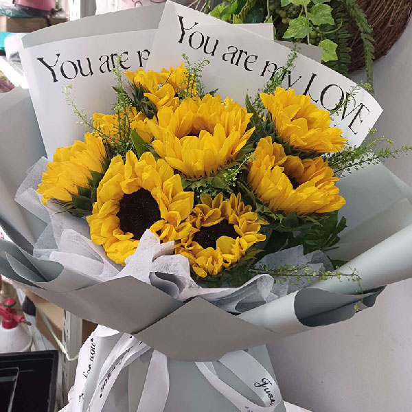 送广东省中山市沙溪镇龙瑞小学的鲜花实拍图