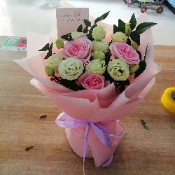 ˹ʻͻʵ(11俨ŵõ廨)