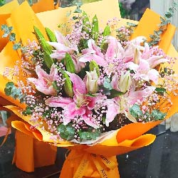 ɽ·ͻʵ(9֧ɫͷٺϣ)