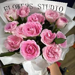 ïï·ͻʵ(13õ壬Զ)