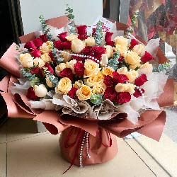 ɽɳϪ¡·ͻʵ(66õɢҷ)