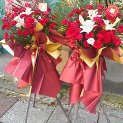 кƽСͻʵ(12õ9俵ܰٺϣ˲)