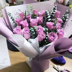 Ԫϳ¡ͻʵ(20õ壬ɫ)