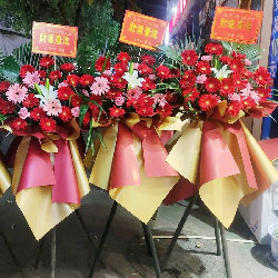 ɶۯƲͻʵ(żܷɻܰ)