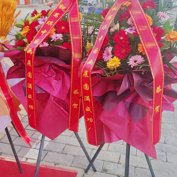 26朵各色扶郎花开业花篮,事业展宏图(实拍照)