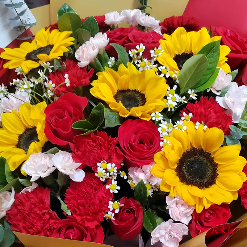 11õ念ܰտЦݲ绨ʵգ