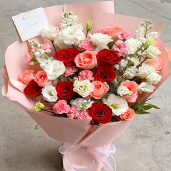 ݸʾƵ긽ͻʵ(16õ8俵ܰõ˲)