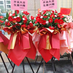 ɶиʢνָͻʵ(żܷɻܰ)