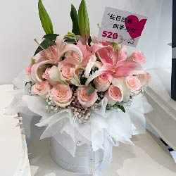 вӽֵͻʵ(22䰬ɯõͰװ)