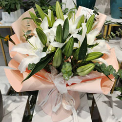 ݰ˲岽нָͻʵ(6֧ɫͷٺϣҸ)