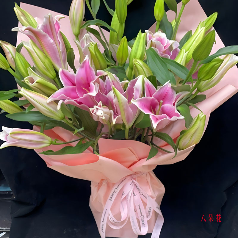 12֧ɫͷٺϣҵ飨ʵգ